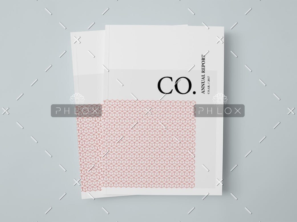 demo-attachment-216-CO.-Annual-Report-1